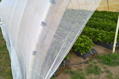 WP_20160506_15_56_45_Rich